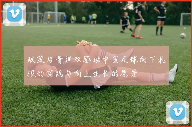 政策与青训双驱动中国足球向下扎根的实践与向上生长的愿景