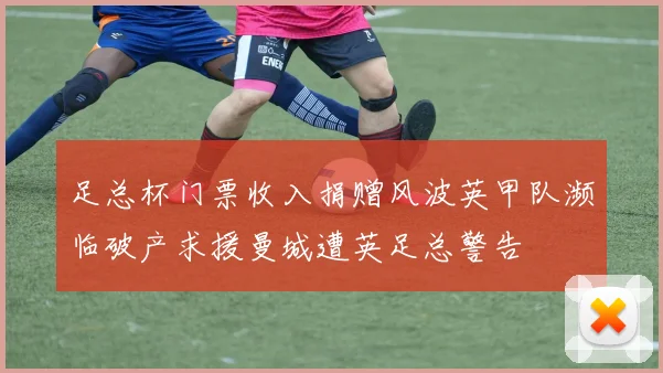 足总杯门票收入捐赠风波英甲队濒临破产求援曼城遭英足总警告